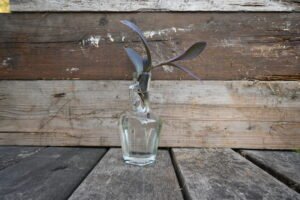 Stekje Purple Heart (Tradescantia pallida)