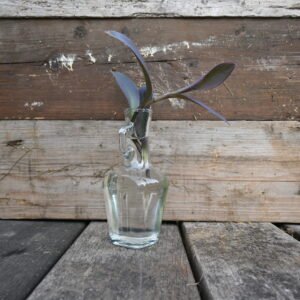 Stekje Purple Heart (Tradescantia pallida)