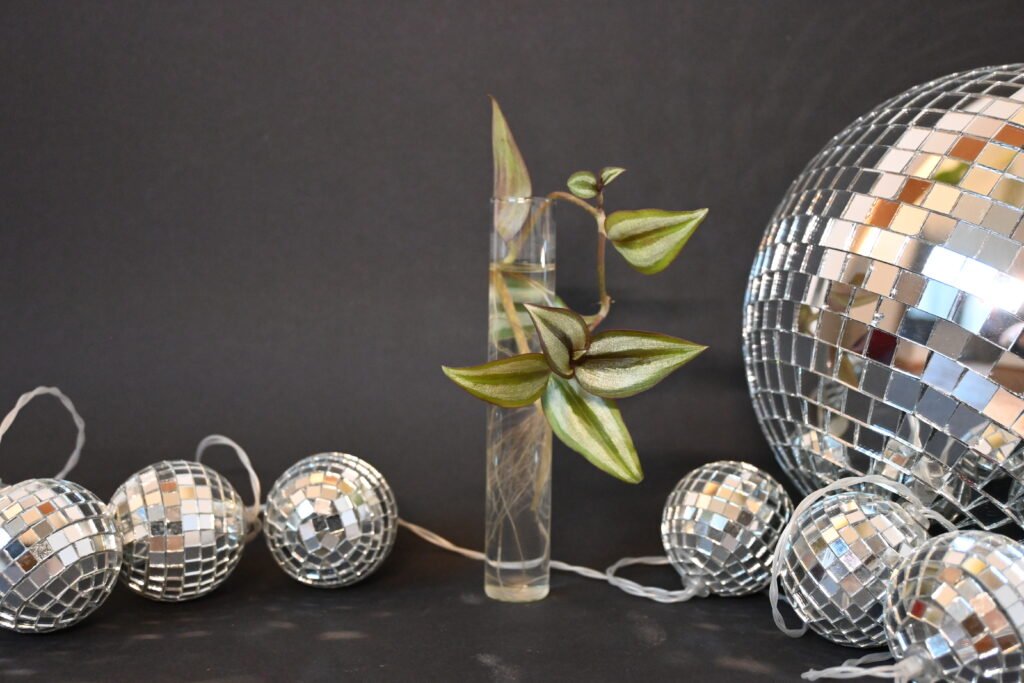 Zebrablad reageerbuisje