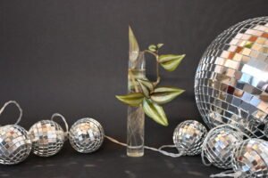 Zebrablad (Tradescantia zebrina)