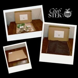 Stekbox VIP (5 Planten Stekjes)