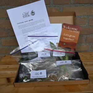 Stekbox relatiegeschenk
