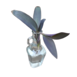 Purple Heart